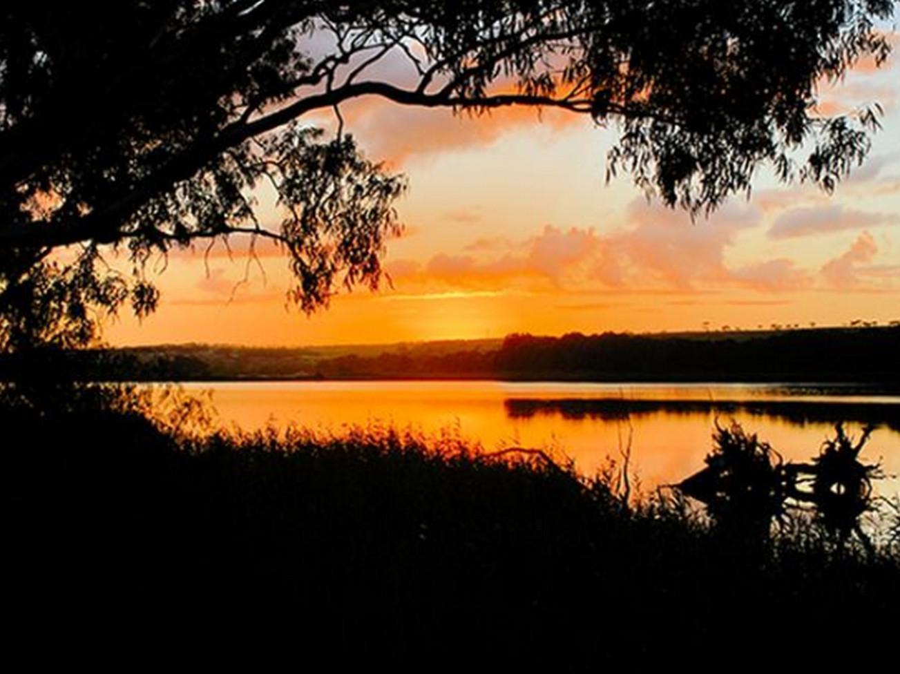 Riverview Rise Retreats Mannum Exterior foto