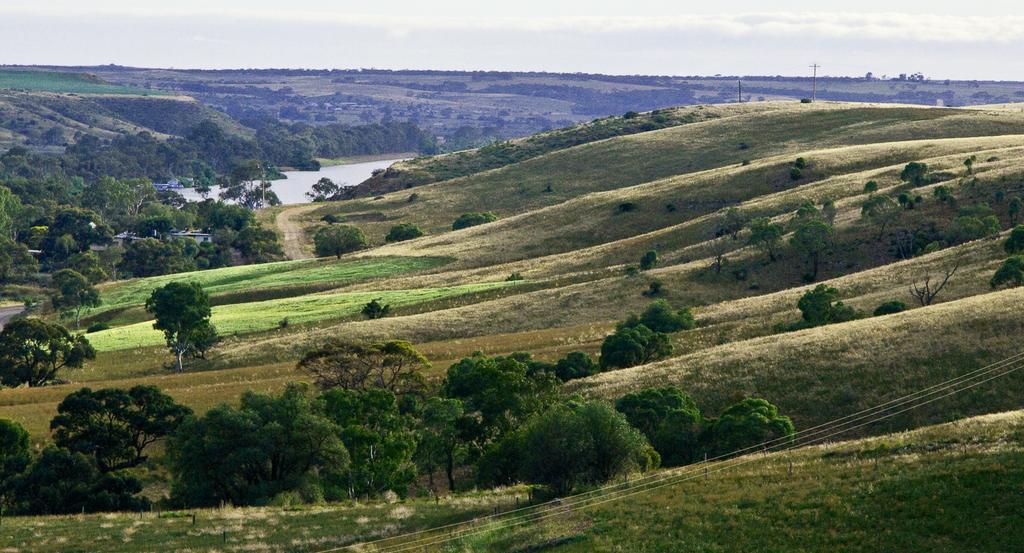 Riverview Rise Retreats Mannum Exterior foto